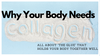 Why Your Body Needs Collagen