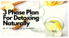 3 Phase Plan For Detoxing Naturally