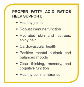 Daily Omega - High Potency Omega-3