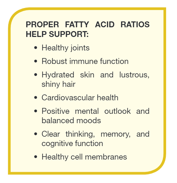 Daily Omega - High Potency Omega-3