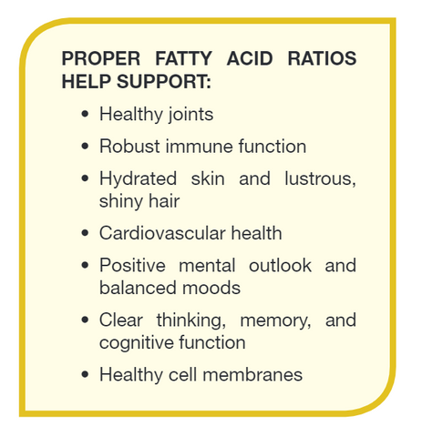 Image of Daily Omega - High Potency Omega-3